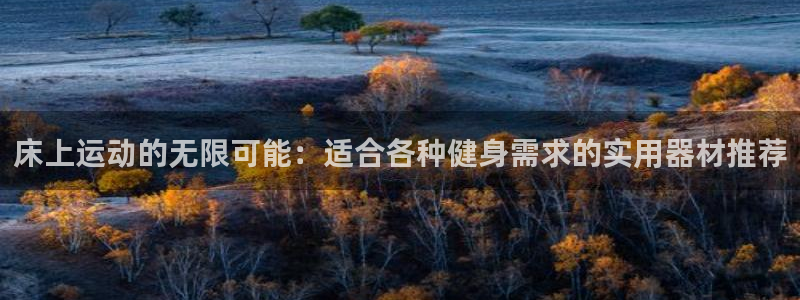 征途国际科技：床上运动的无限可能：适合各种健身需求的