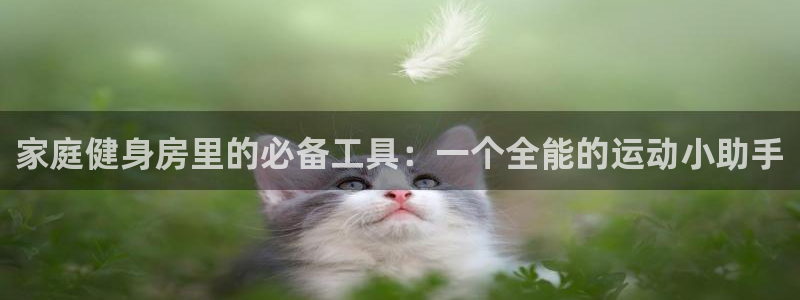 征途国际招商电话号码是多少号：家庭健身房里的必备工具
