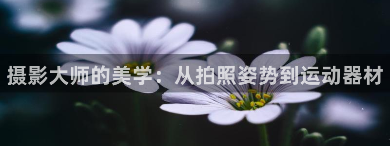 征途国际平台注册要钱吗安全吗：摄影大师的美学：从拍照
