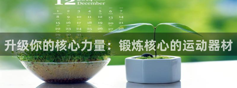 海南征途国际发展怎么样：升级你的核心力量：锻炼核心的