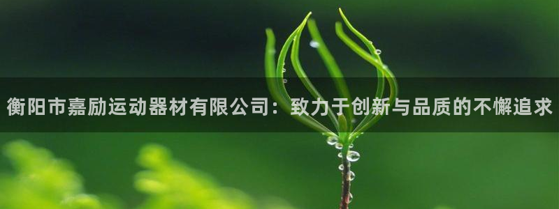 征途国际官方：衡阳市嘉励运动器材有限公司：致力于创新