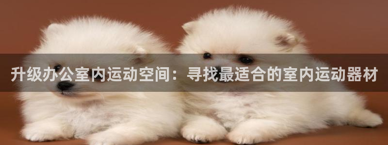 征途国际招商电话地址：升级办公室内运动空间：寻找最适合的室内