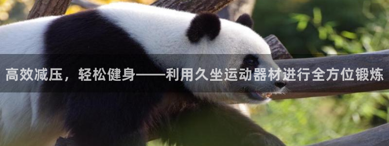 征途国际平台假的吗是真的吗：高效减压，轻松健身——利用久坐运