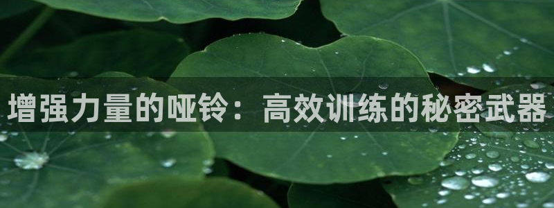 征途国际娱乐