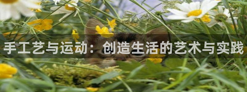 征途国际科技