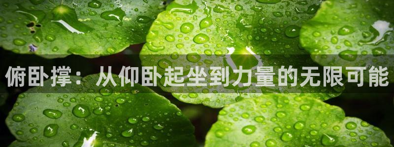 注册征途国际：俯卧撑：从仰卧起坐到力量的无限可能