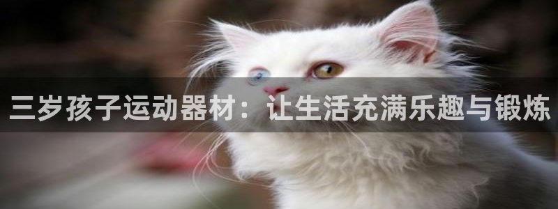 征途国际娱乐