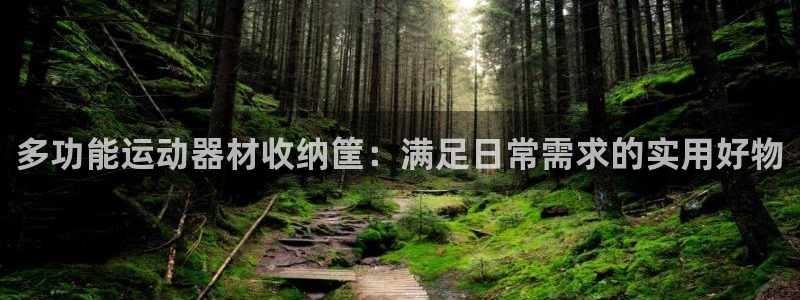 征途国际娱乐：多功能运动器材收纳筐：满足日常需求的实用好物