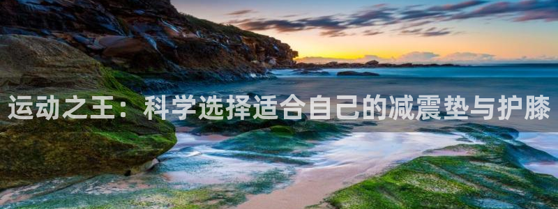 征途国际软件