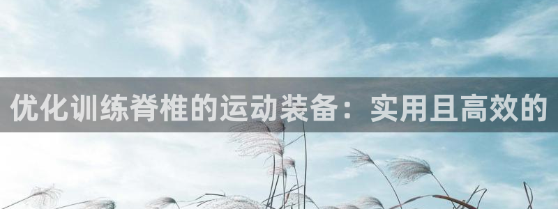 征途国际开户：优化训练脊椎的运动装备：实用且高效的