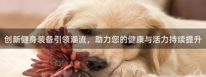 征途国际娱乐网站：创新健身装备引领潮流，助力您的健康