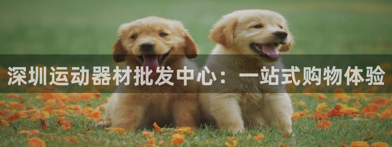 征途国际开户：深圳运动器材批发中心：一站式购物体验